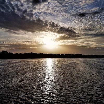 08 Sonnenschein Im Pantanal Kaiser Drogi Ute Freisen