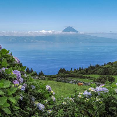 Web Foto Die Azoren Sao Jorge Blick Auf Pico Und Den Gleichnamigen Berg P7083218 Avcc